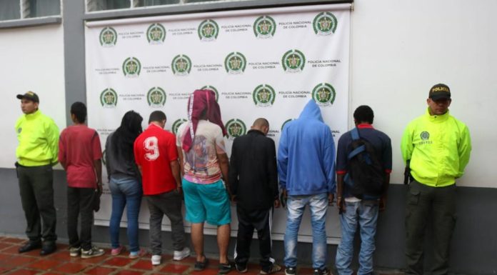 Atraparon a los Pokémon