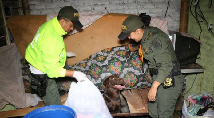 Desarticulada banda ‘Los Tinos’: responsables de homicidios y expendio de drogas en Cali