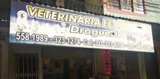 ¡Sellan veterinaria donde se realizaban procedimientos ilegales!