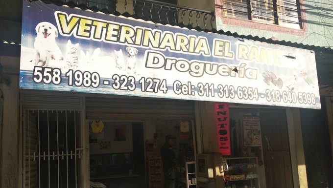 ¡Sellan veterinaria donde se realizaban procedimientos ilegales!