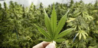 Prohibido el consumo de drogas y alcohol en ciertos espacios públicos