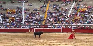 Ni un peso para las corridas de toros: Jorge Iván Ospina