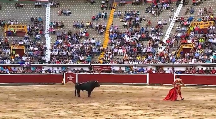 Ni un peso para las corridas de toros: Jorge Iván Ospina