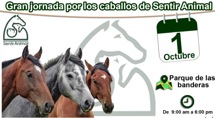 ‘Día Mundial de los Animales Cali 2022’