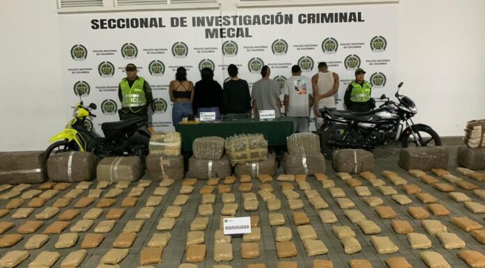 En una vivienda al sur de Cali, se incautó media tonelada de marihuana