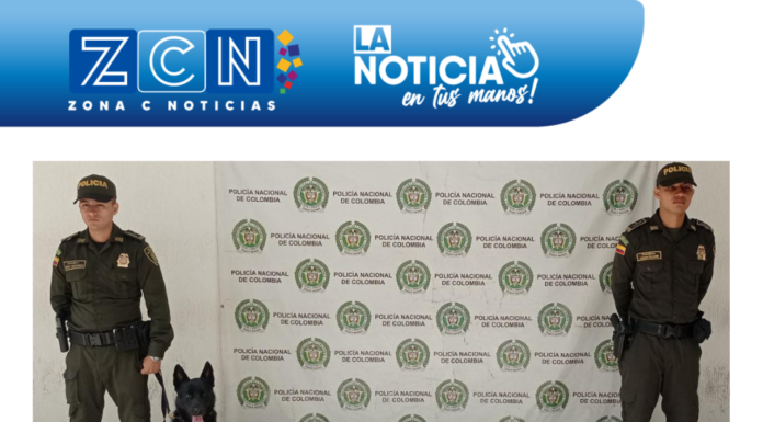 Cayeron 31.500 gramos de marihuana que iban para Cartagena