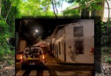 ¿Sabe usted cómo protegerse del dengue?: aquí le damos recomendaciones