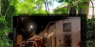 ¿Sabe usted cómo protegerse del dengue?: aquí le damos recomendaciones