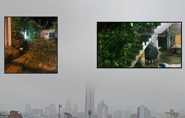 Las lluvias colapsan Cali: caída de árboles y barrios sin energía lluvias